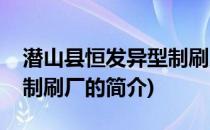 潜山县恒发异型制刷厂(关于潜山县恒发异型制刷厂的简介)