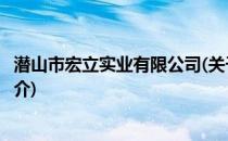 潜山市宏立实业有限公司(关于潜山市宏立实业有限公司的简介)