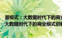 潜模式：大数据时代下的商业模式创新新思维(关于潜模式：大数据时代下的商业模式创新新思维的简介)