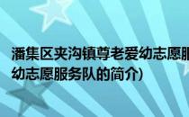 潘集区夹沟镇尊老爱幼志愿服务队(关于潘集区夹沟镇尊老爱幼志愿服务队的简介)