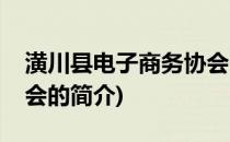 潢川县电子商务协会(关于潢川县电子商务协会的简介)