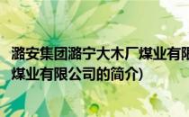 潞安集团潞宁大木厂煤业有限公司(关于潞安集团潞宁大木厂煤业有限公司的简介)