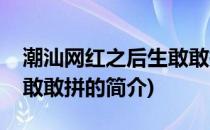 潮汕网红之后生敢敢拼(关于潮汕网红之后生敢敢拼的简介)