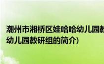 潮州市湘桥区娃哈哈幼儿园教研组(关于潮州市湘桥区娃哈哈幼儿园教研组的简介)