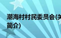 潮海村村民委员会(关于潮海村村民委员会的简介)