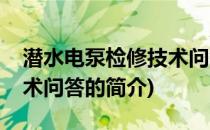 潜水电泵检修技术问答(关于潜水电泵检修技术问答的简介)