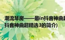 潮流琴房——最in抖音神曲超精选3(关于潮流琴房——最in抖音神曲超精选3的简介)