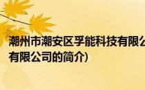 潮州市潮安区孚能科技有限公司(关于潮州市潮安区孚能科技有限公司的简介)