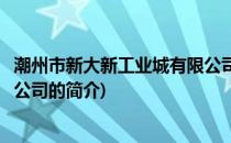 潮州市新大新工业城有限公司(关于潮州市新大新工业城有限公司的简介)