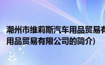 潮州市维莉斯汽车用品贸易有限公司(关于潮州市维莉斯汽车用品贸易有限公司的简介)