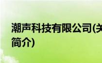 潮声科技有限公司(关于潮声科技有限公司的简介)