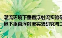 潮流环境下垂直浮射流实验研究与三维数值模拟(关于潮流环境下垂直浮射流实验研究与三维数值模拟的简介)