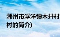 潮州市浮洋镇木井村(关于潮州市浮洋镇木井村的简介)