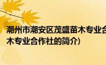 潮州市潮安区茂盛苗木专业合作社(关于潮州市潮安区茂盛苗木专业合作社的简介)