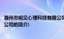 潮州市明见心理科技有限公司(关于潮州市明见心理科技有限公司的简介)