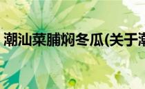 潮汕菜脯焖冬瓜(关于潮汕菜脯焖冬瓜的简介)