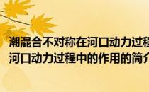 潮混合不对称在河口动力过程中的作用(关于潮混合不对称在河口动力过程中的作用的简介)