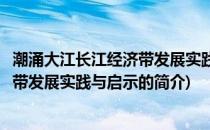 潮涌大江长江经济带发展实践与启示(关于潮涌大江长江经济带发展实践与启示的简介)