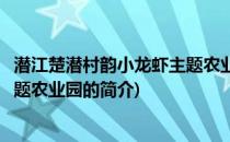 潜江楚潜村韵小龙虾主题农业园(关于潜江楚潜村韵小龙虾主题农业园的简介)