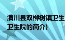 潢川县双柳树镇卫生院(关于潢川县双柳树镇卫生院的简介)