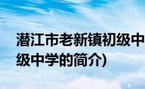 潜江市老新镇初级中学(关于潜江市老新镇初级中学的简介)