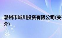 潮州市诚川投资有限公司(关于潮州市诚川投资有限公司的简介)