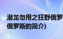 潜龙勿用之狂野俄罗斯(关于潜龙勿用之狂野俄罗斯的简介)