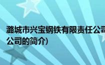 潞城市兴宝钢铁有限责任公司(关于潞城市兴宝钢铁有限责任公司的简介)