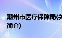 潮州市医疗保障局(关于潮州市医疗保障局的简介)