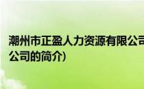 潮州市正盈人力资源有限公司(关于潮州市正盈人力资源有限公司的简介)