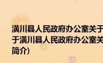 潢川县人民政府办公室关于做好2010年春运工作的通知(关于潢川县人民政府办公室关于做好2010年春运工作的通知的简介)