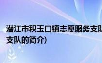 潜江市积玉口镇志愿服务支队(关于潜江市积玉口镇志愿服务支队的简介)