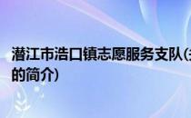 潜江市浩口镇志愿服务支队(关于潜江市浩口镇志愿服务支队的简介)