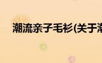 潮流亲子毛衫(关于潮流亲子毛衫的简介)