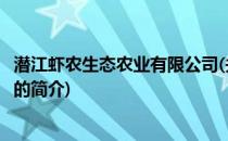 潜江虾农生态农业有限公司(关于潜江虾农生态农业有限公司的简介)