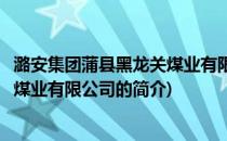 潞安集团蒲县黑龙关煤业有限公司(关于潞安集团蒲县黑龙关煤业有限公司的简介)