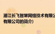 潜江长飞智慧网络技术有限公司(关于潜江长飞智慧网络技术有限公司的简介)