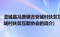 澄城县冯原镇吉安城村扶贫互助协会(关于澄城县冯原镇吉安城村扶贫互助协会的简介)