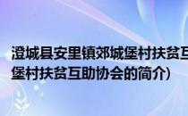 澄城县安里镇郊城堡村扶贫互助协会(关于澄城县安里镇郊城堡村扶贫互助协会的简介)