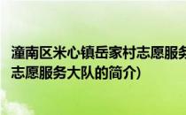 潼南区米心镇岳家村志愿服务大队(关于潼南区米心镇岳家村志愿服务大队的简介)