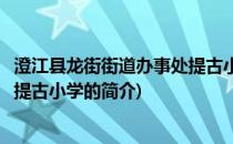 澄江县龙街街道办事处提古小学(关于澄江县龙街街道办事处提古小学的简介)