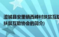 澄城县安里镇西峰村扶贫互助协会(关于澄城县安里镇西峰村扶贫互助协会的简介)