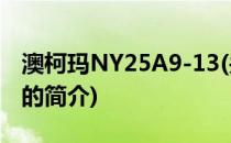 澳柯玛NY25A9-13(关于澳柯玛NY25A9-13的简介)