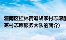 潼南区桂林街道胡家村志愿服务大队(关于潼南区桂林街道胡家村志愿服务大队的简介)