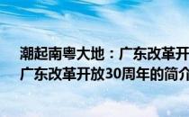 潮起南粤大地：广东改革开放30周年(关于潮起南粤大地：广东改革开放30周年的简介)