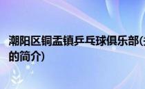 潮阳区铜盂镇乒乓球俱乐部(关于潮阳区铜盂镇乒乓球俱乐部的简介)