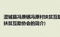 澄城县冯原镇冯原村扶贫互助协会(关于澄城县冯原镇冯原村扶贫互助协会的简介)