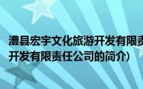 澧县宏宇文化旅游开发有限责任公司(关于澧县宏宇文化旅游开发有限责任公司的简介)