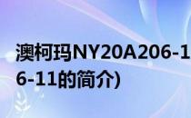 澳柯玛NY20A206-11(关于澳柯玛NY20A206-11的简介)