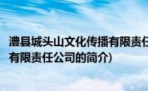 澧县城头山文化传播有限责任公司(关于澧县城头山文化传播有限责任公司的简介)